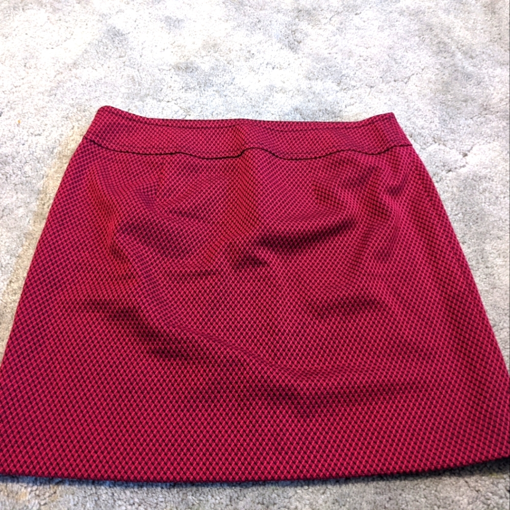Ann Taylor LOFT  petite skirt